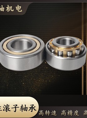 洛阳圆柱滚子轴承NJ NU405 406 407 408 409 410 411 412 413M