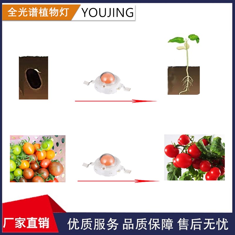 1W3W5W大功率灯珠全光谱LED植物灯生长灯水草鱼缸多肉上色8000K光