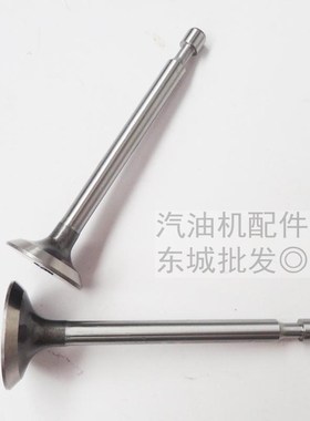 汽油机发电机配件RGX2400 EY20进排气门 汽油抹光机水泵167F 气门