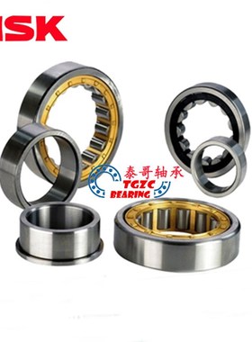 进口NSK 圆柱滚子轴承 N NU NJ NUP RN 228 230 232 234 236 EM