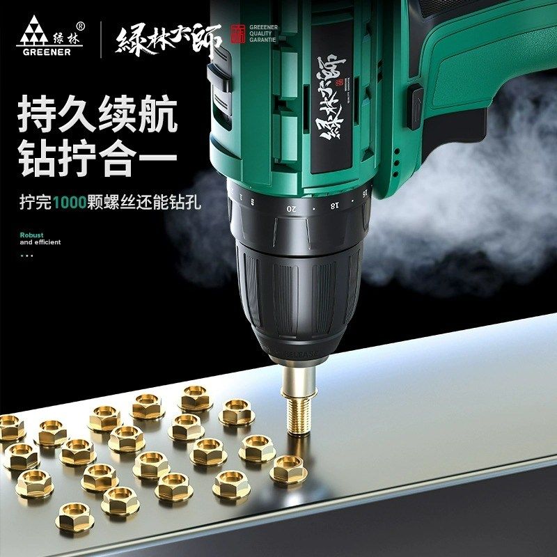 绿林大师手电钻小手枪钻锂转家用电工具电动螺丝刀16.8多功能无刷