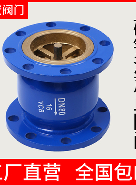 HC41X-16法兰消声止回阀消音立卧式单向阀DN40 50 65 80 100 150