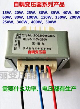 自耦变压器110V220V380V20W25W30W50W100W120W150W升压降压调压器
