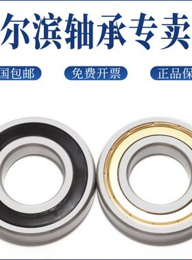 HRB 哈尔滨轴承6017 6018 6019 6020 6021 6022 2Z 2RZ深沟球轴承