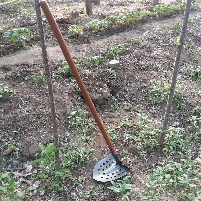 污水铁锹开沟锄排污漏眼锹清理污水泥污水井清掏工具掏粪勺挖泥,鲜花速递/花卉仿真/绿植园艺,铲子,淘宝优惠券,粉丝福利购,淘宝优惠卷