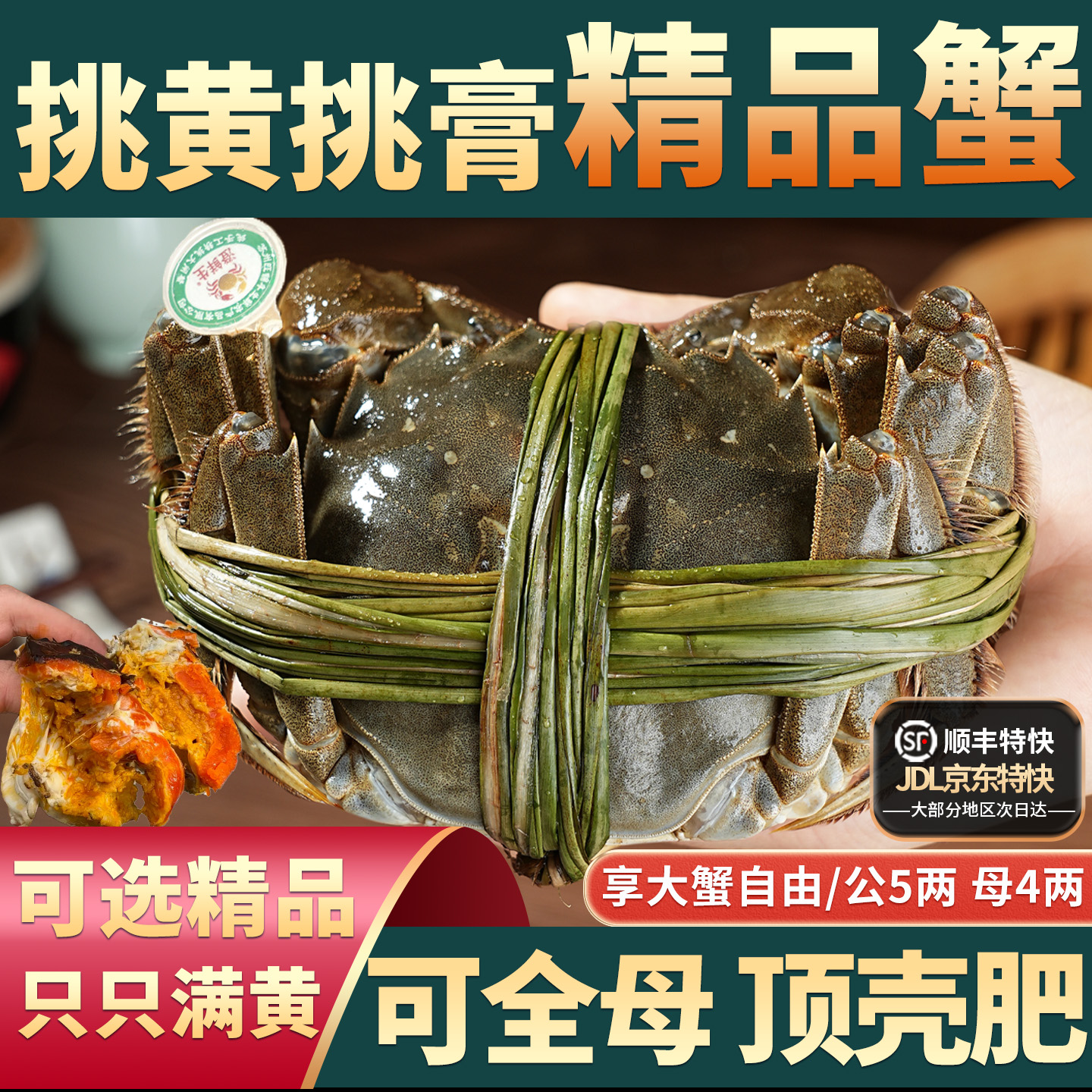 活蟹纯手工精挑只只满黄大闸蟹
