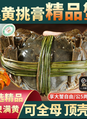 【纯手工精挑只只满黄】精品大闸蟹鲜活螃蟹特大全母河蟹苏州礼盒