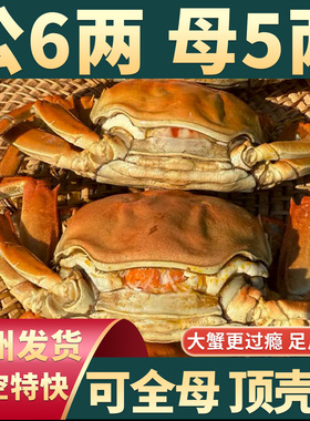 【特大活蟹】10只现货大闸蟹鲜活螃蟹礼盒官方旗舰全母蟹礼盒河蟹