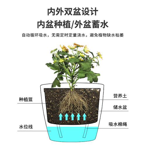 懒人花盆自动吸水绿萝花盆懒人盆水培盆栽免浇水塑料仿陶瓷自吸盆