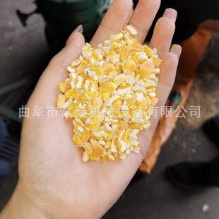 高粱小麦脱皮机 谷子水稻脱壳机 家用两相电玉米脱皮制糁机