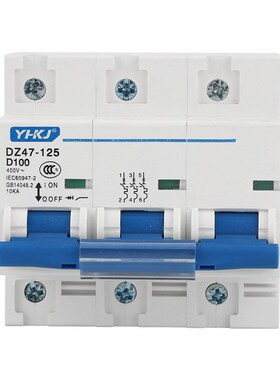 DZ47-125/1P 2P 3P 100A 80A 125A 小型断路器  空气开关 高品质