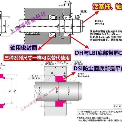 日本DSI/LBI 台湾DZ-DH 22.4*30.5*4.5/623.5*31.5*4.5/6防尘圈