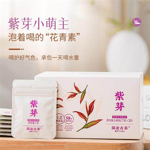 澜沧古茶2024年紫芽生茶小萌饼普洱茶生普小茶饼茶叶盒装