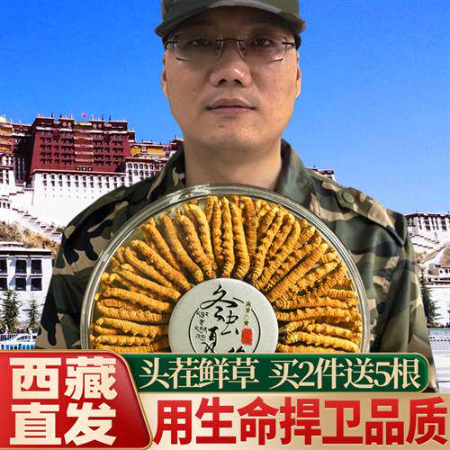 西藏那曲新鲜冬虫夏草鲜草虫草正品干货旗舰店礼盒装