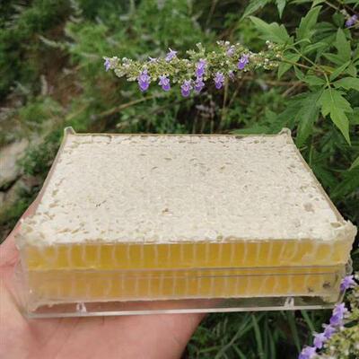 正宗荆条蜂巢蜜嚼着吃500g纯正天然封盖蜂窝蜜百花新鲜蜂巢蜜整块
