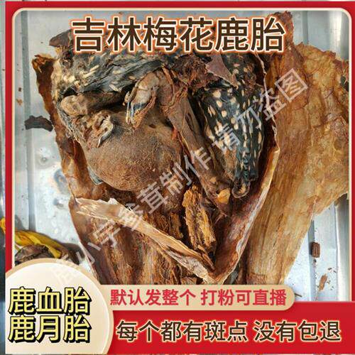 梅花鹿鹿胎鹿胎粉整个吉林鹿胎盘鹿膏滋补女性子宫月经