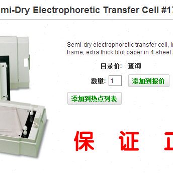 bio-rad Trans-Blot  SD半干转印仪伯乐半干转印槽1703940