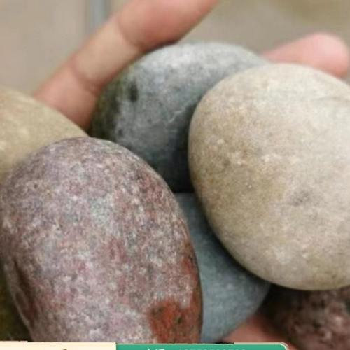 安徽鹅卵石雨花石河卵石变压器5-8公分 鹅卵石河滩铺路造景鹅卵石