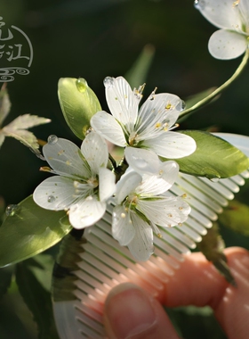 唐松草发梳 热缩花簪步摇仿玉簪子古风发饰汉服头饰日常发簪国风