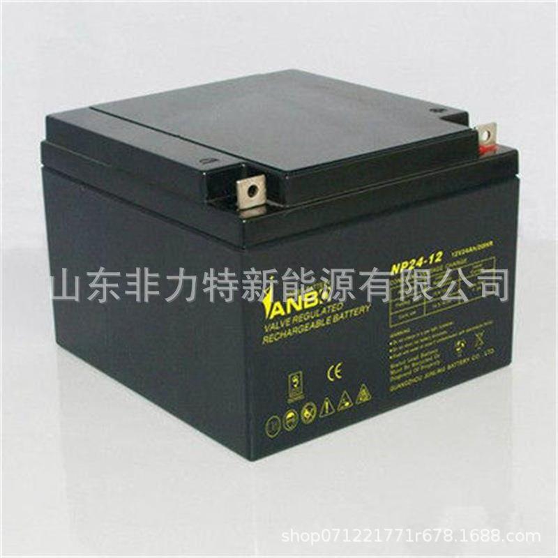 威博VANBO蓄电池VB-1224C12V24AH直流屏应急照明机房备电