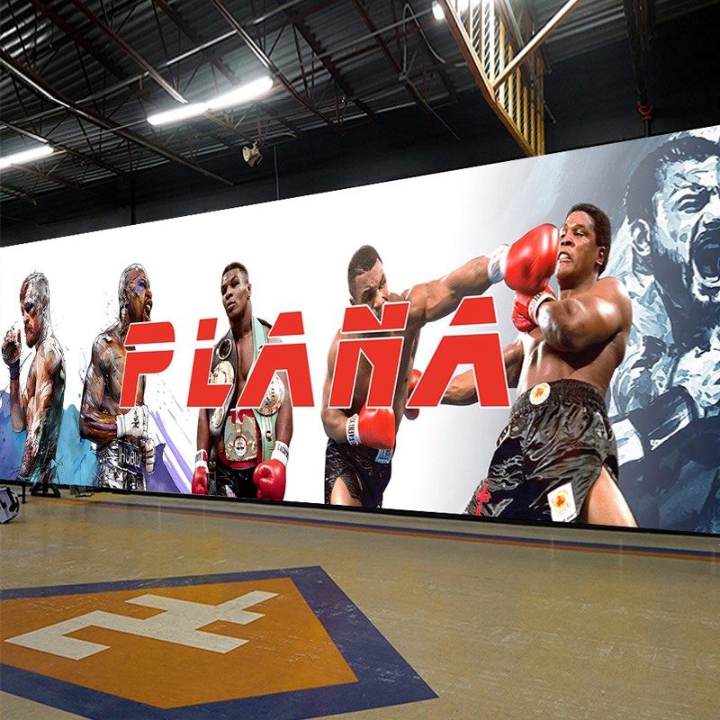 健身房健美室拳击搏击o背景墙布大型壁画挂画打卡logo墙纸设计定