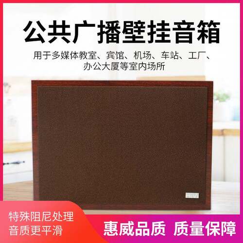 Hivi/惠威TW101壁挂音响教室广播会议音箱定压背景音箱壁挂音响