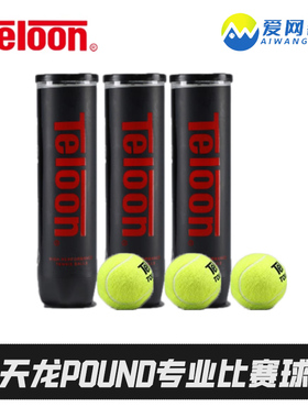 TELOON天龙网球POUND专业比赛球成人专用训练球网球配件P4桶装