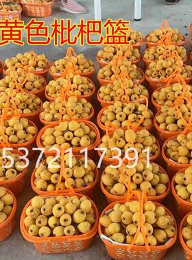塑料枇杷斤篮子桔黄色摘筐/4/35水果包装篮鸡采TTK10217蛋桔子草