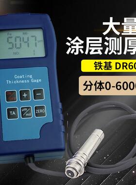 东如DR6000涂镀层测厚仪喷塑油漆防腐层防火涂料0-6000UM