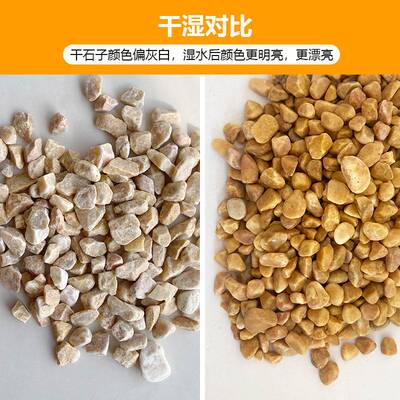 黄砾石枯山水造景石胶粘石黄色透水石园林透水地坪骨料黄碎石卵石