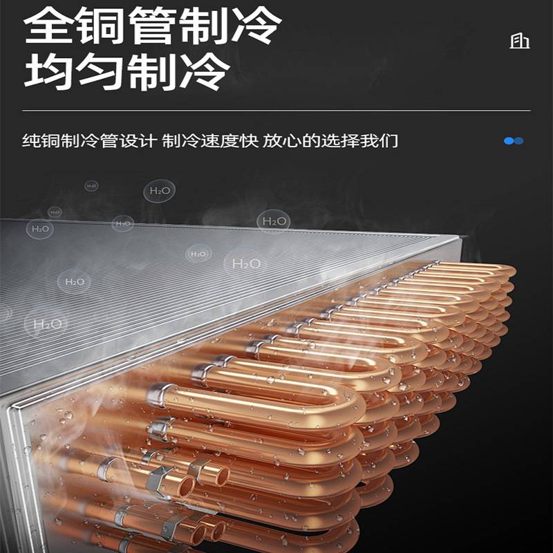 单门冷柜 水果蔬菜冷藏冷冻展示柜厨房多功能冰柜 立式二门冰箱