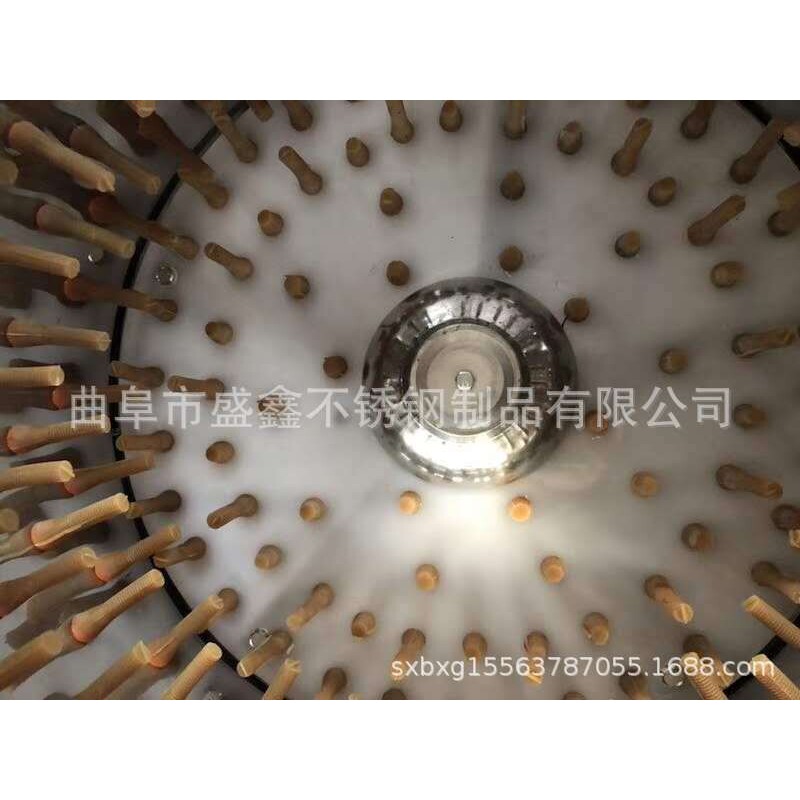 不锈钢家用鸽子鹌鹑小鸡雏鸟脱毛机毛蛋打皮机双轴双轮设计不伤皮