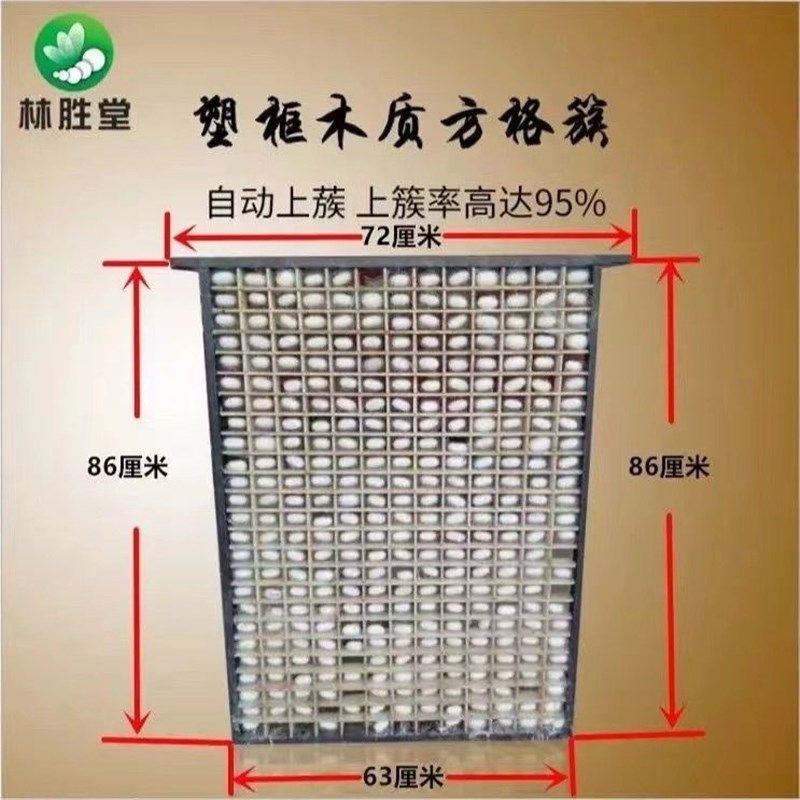 2个方格簇养蚕专用325孔塑框木质不用翻转茧白茧层厚解舒率高农用