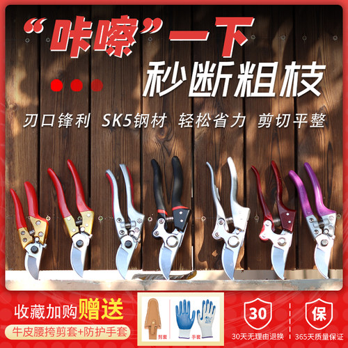 Sk5高强度不锈钢省力修枝剪花枝剪花艺剪刀果树采摘剪大开口30mm