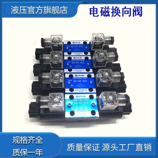 G02 A220 DSD DC24 A110 31电磁阀DSD