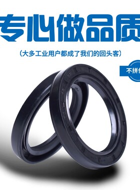 NQKTC/FB骨架油封55*80/81/82/85/88/90*8/9/10/11/12/13耐油耐磨