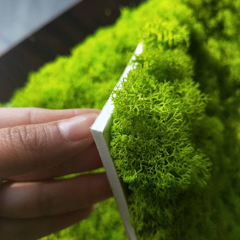 苔藓墙植物墙面装饰仿真青苔藓环保绿化装饰墙壁室内家居挂壁绿植