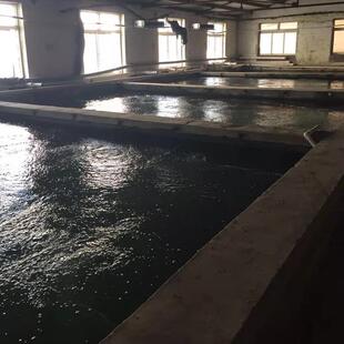 矿山直水供生活料饮用除铁污过KD1--4滤 除铁锰锰滤沸石颗粒