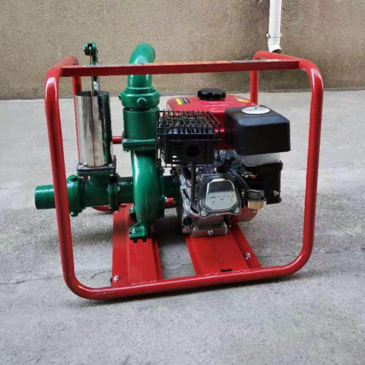 海水养殖汽油1903F抽水机扬程0米汽用油抽水 泵NWI型号饮水抽水泵