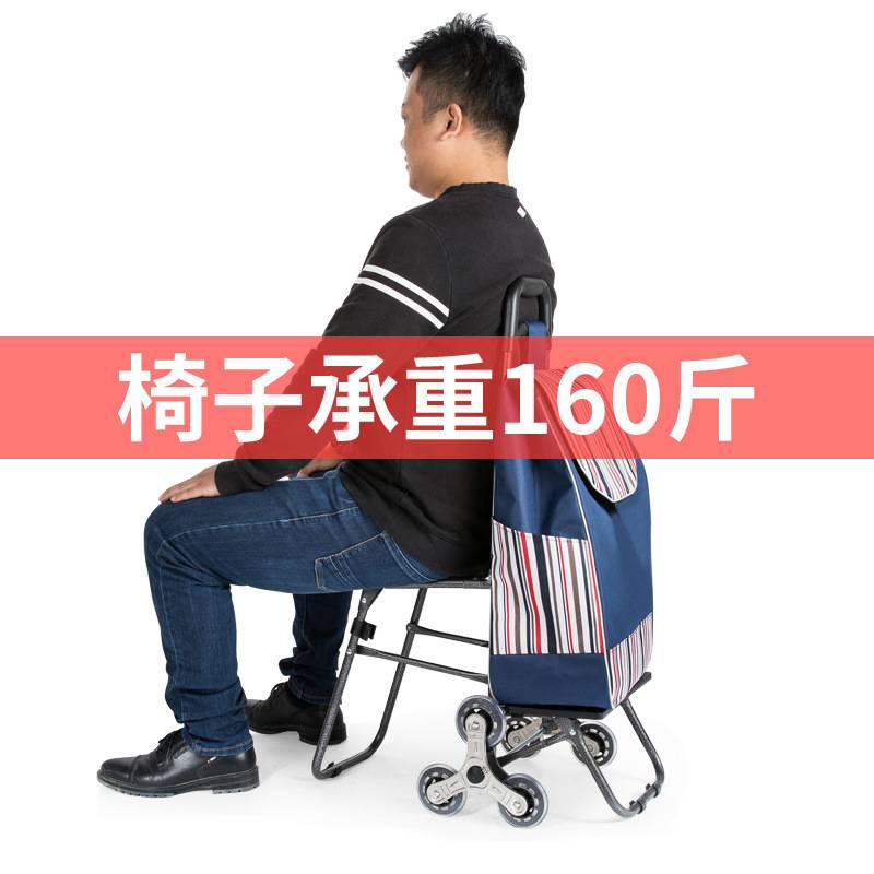 可以坐的买菜车买菜车可坐人买菜车儿童可坐买莱手拉车买菜拉捍车