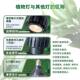 E2帕30长植物补光可调节7光灯束角聚光灯EGF泡绿生灯全光谱