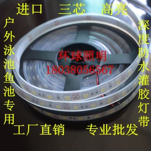 led12v505l0贴片60珠灯带超高亮水下软灯条鱼池灌胶户外深度防水