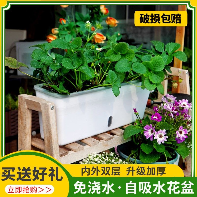 阳台懒人花盆自吸水种菜盆种花长方形种植箱草莓盆栽塑料长条花槽,鲜花速递/花卉仿真/绿植园艺,花盆,淘宝优惠券,粉丝福利购,淘宝优惠卷