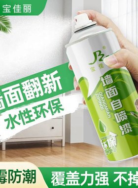 宝佳丽自喷漆家用室内内墙防水防霉墙壁修复去污神器白色乳胶漆