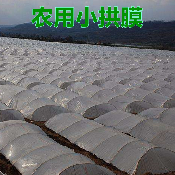 小拱棚专用高h光透明塑薄膜塑料布加厚大棚膜保温保湿防风防雨