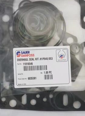 萨澳丹佛斯H1P045 H1P053柱塞泵修理包