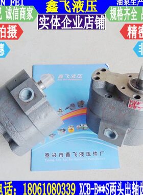 两头出轴cb-50b双头齿轮泵cb-63b液压泵cb-40b润滑输油泵
