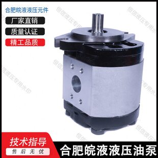 G532 G525 G540 F550 AF液压油泵 合肥皖液齿轮泵CBQ F563 G520