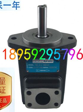 T6CC 031 003/005/006 1R00/1R01/1R02/1R03 C100/C110丹尼逊油泵