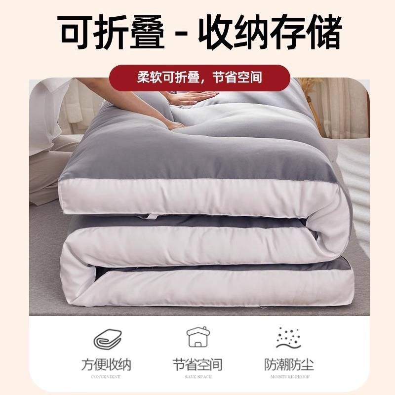 地垫睡垫榻榻米地铺睡垫床垫软垫家用卧室出租房可折叠不易塌陷